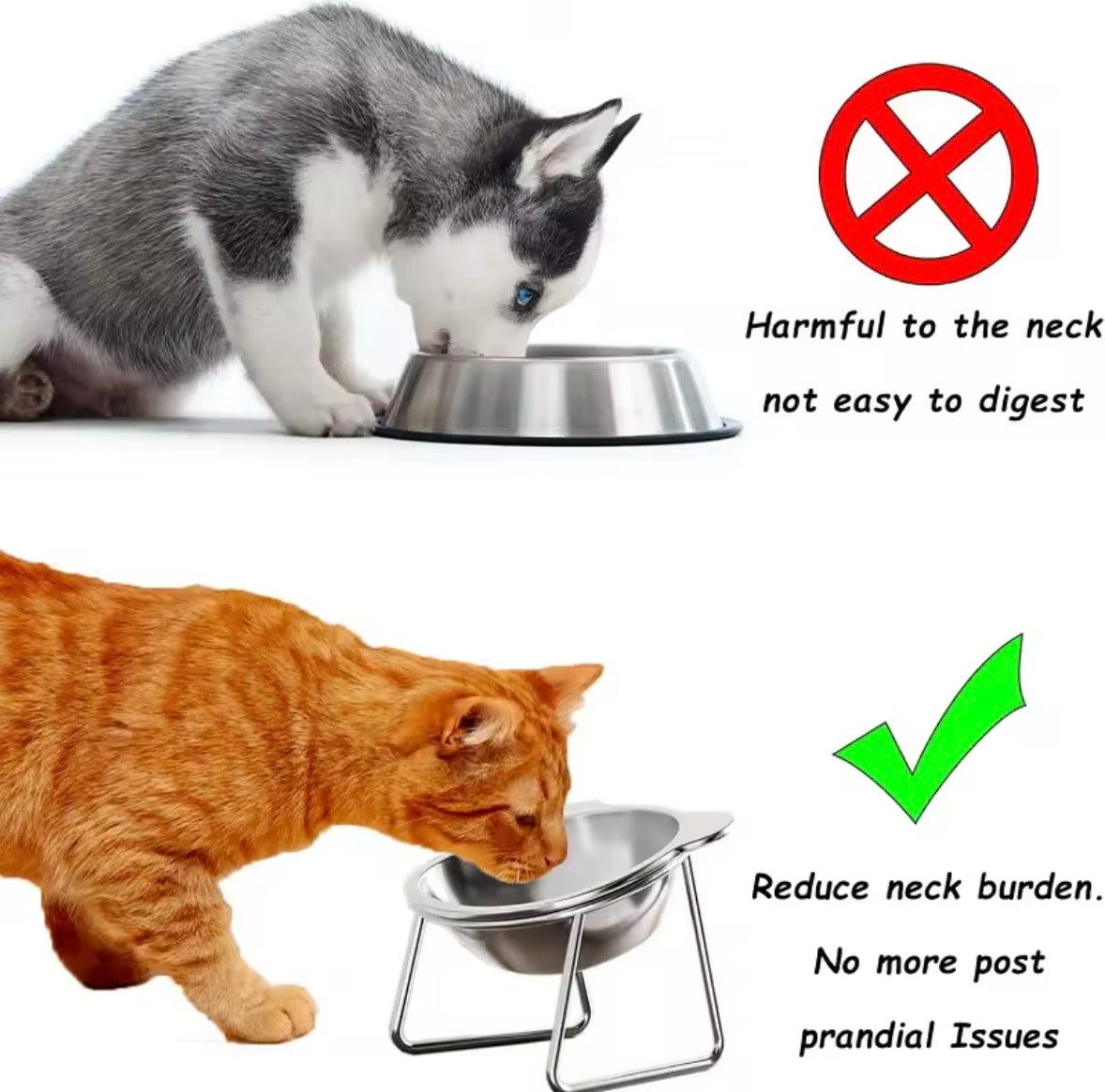 Elevated Stainless Steel Cat Bowl
