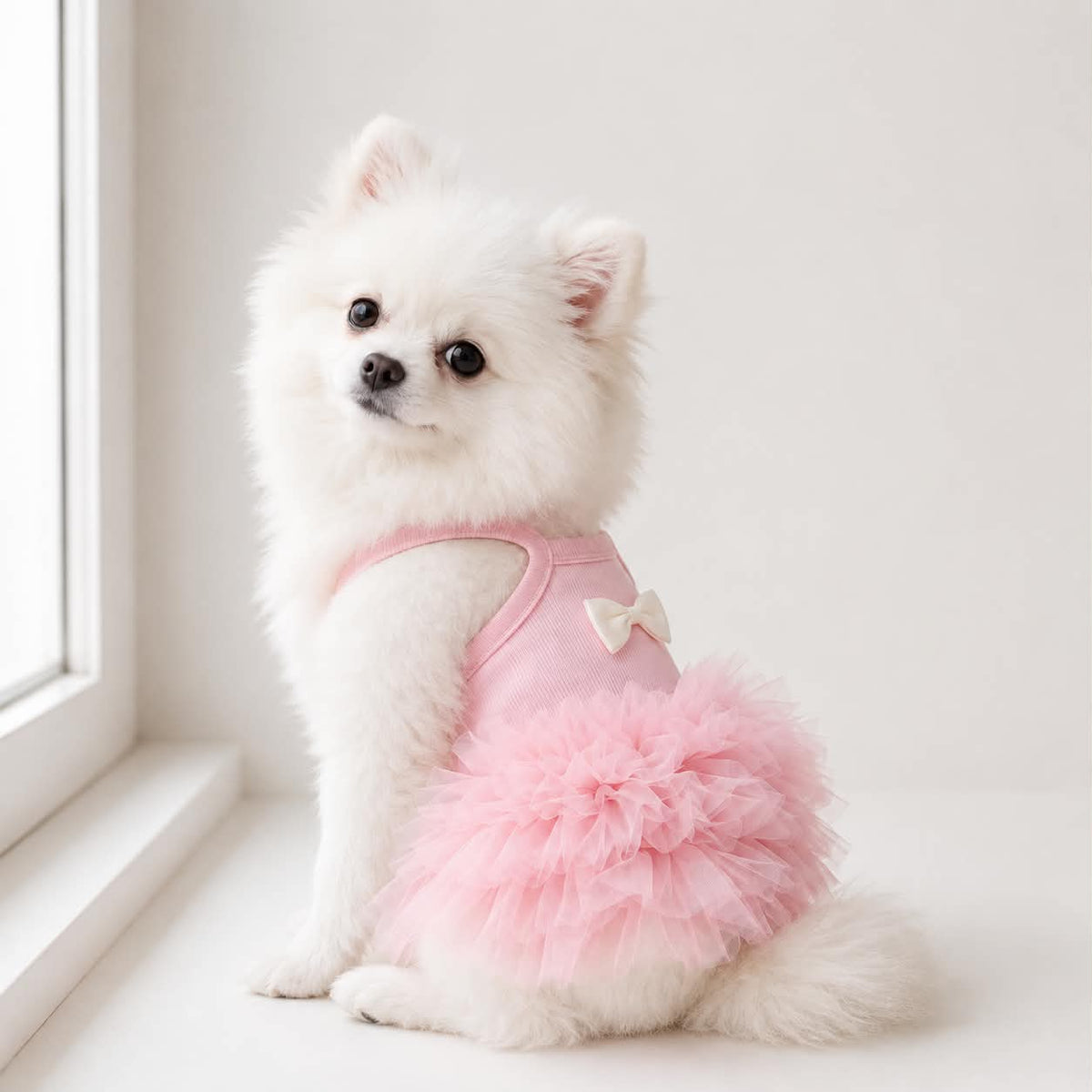 Pet Fashion