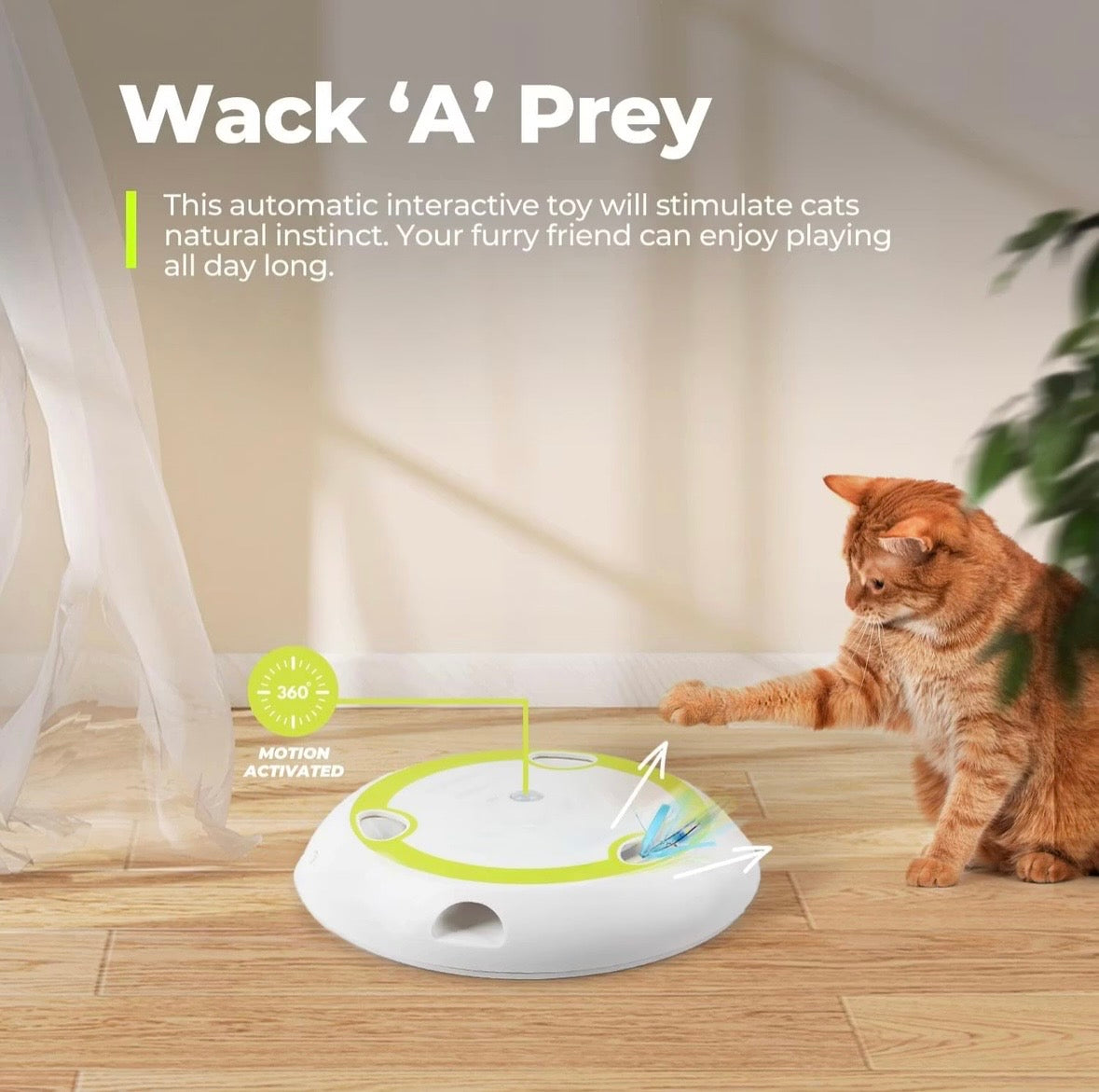 CatPlay Hunt