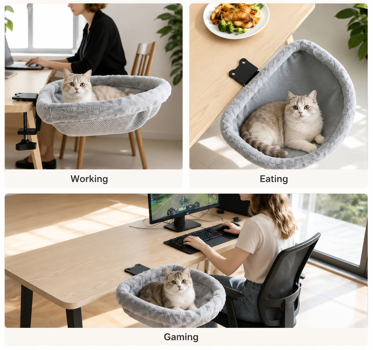 PawNest