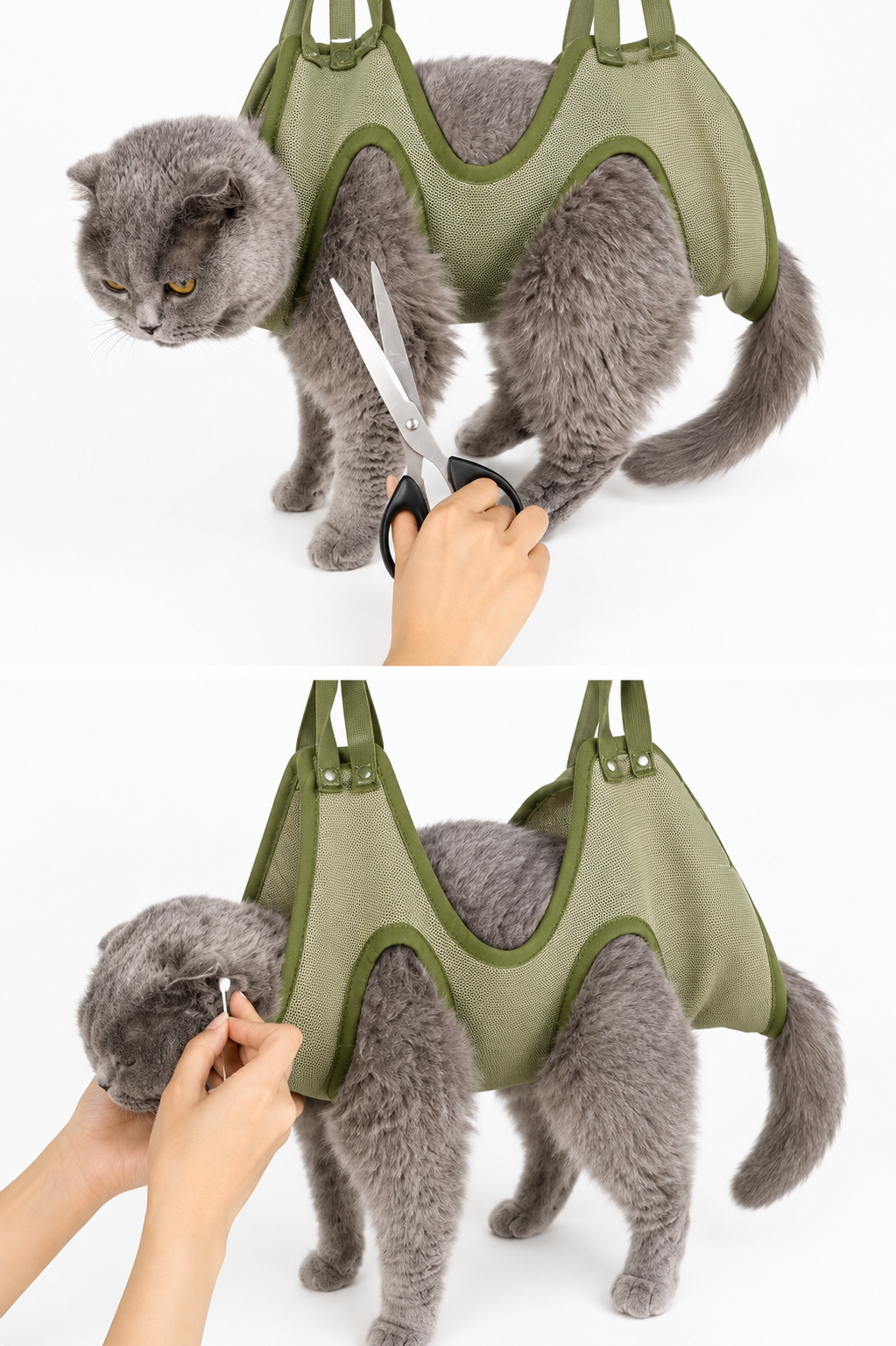 PawGuard