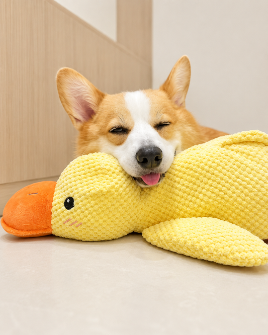Snuggle Duck