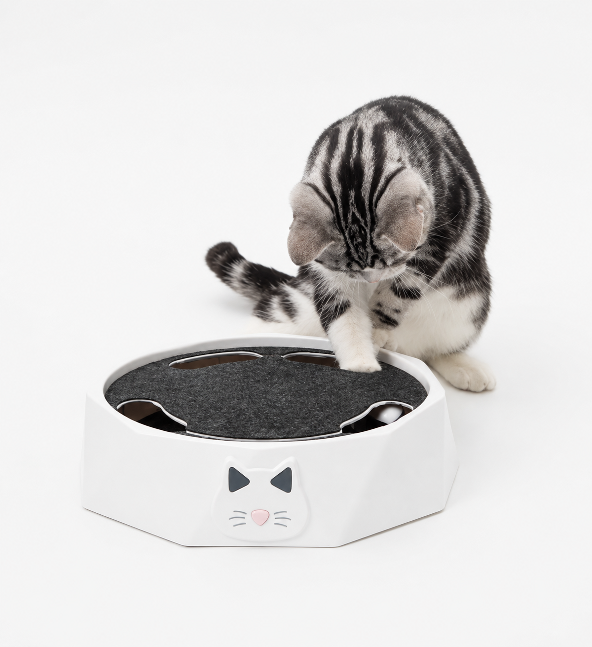 CatPlay Hunt