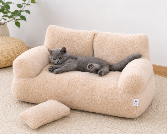 Sofa Bed