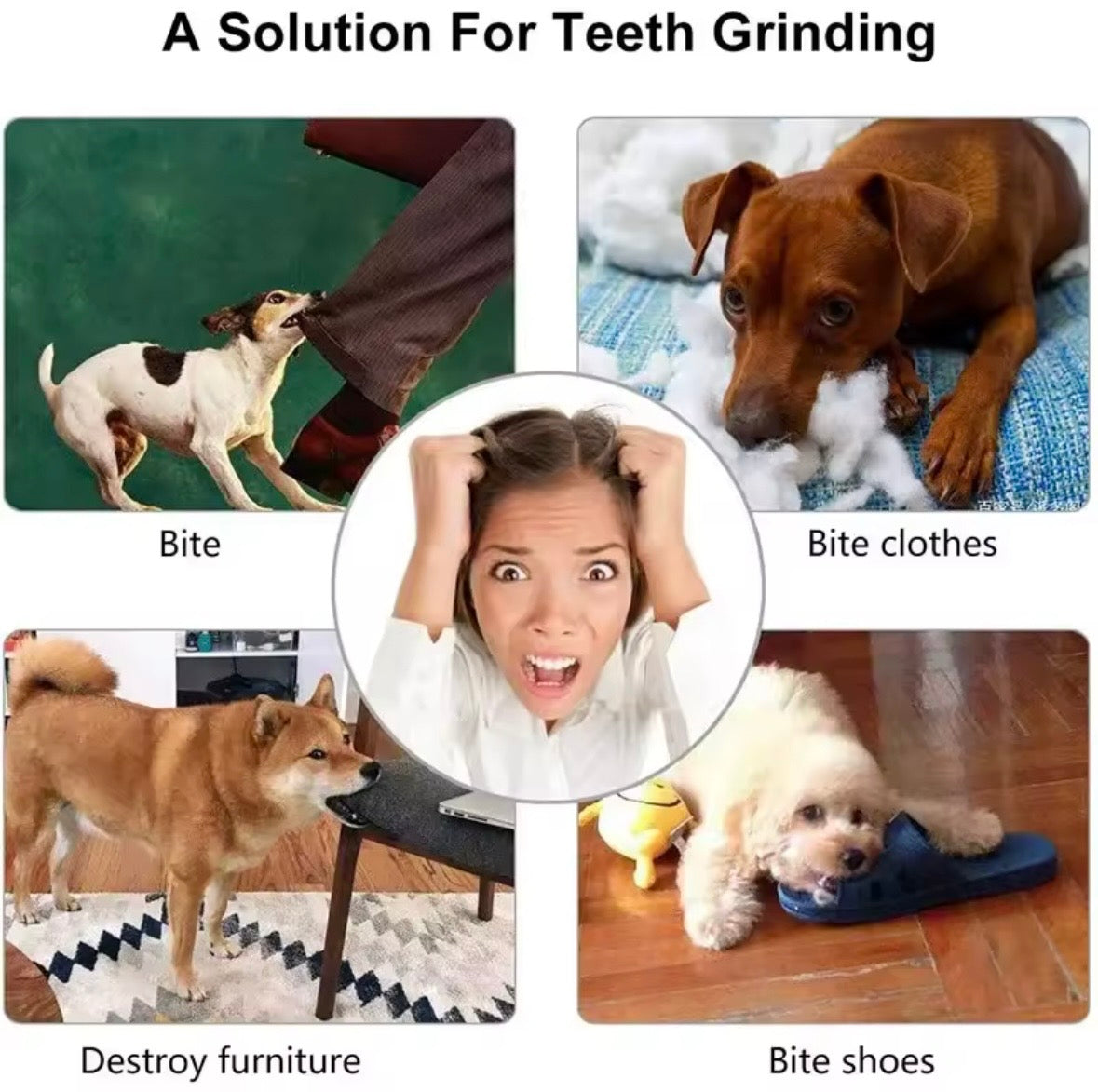 SmartTreat Dental Ball