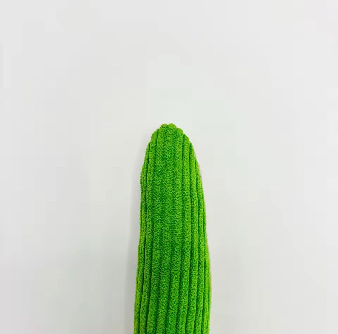 CuddleSnake